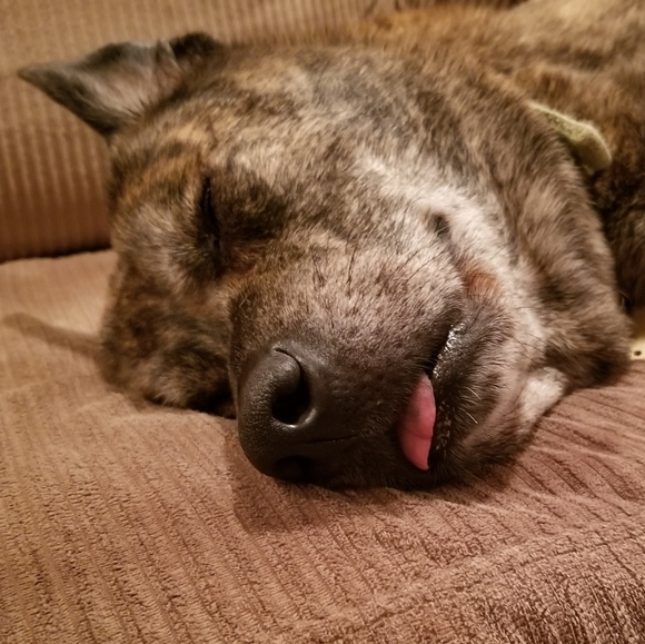 PLSreadBEFOREbuying! - Picture 2 of 16